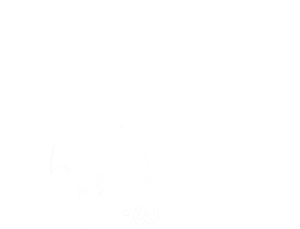 Ciallo Networks