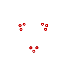 FiberState（FS）